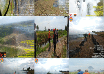 Api Mulai Membakar Lahan Kosong di Batibati, TRC BPBD Tanahlaut Turun ke Lokasi